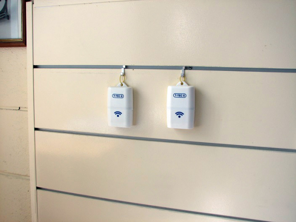 Loggers on wall